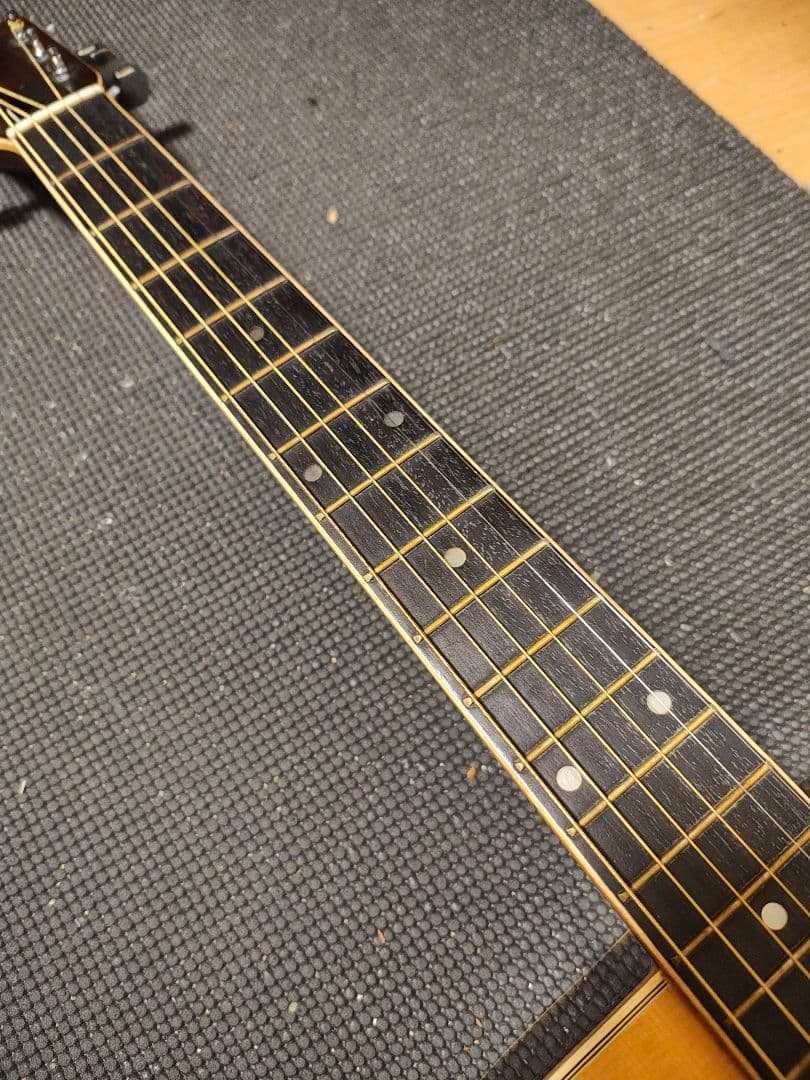 JAPANビンテージ Aria W-250/オマケ付き - メルカリ