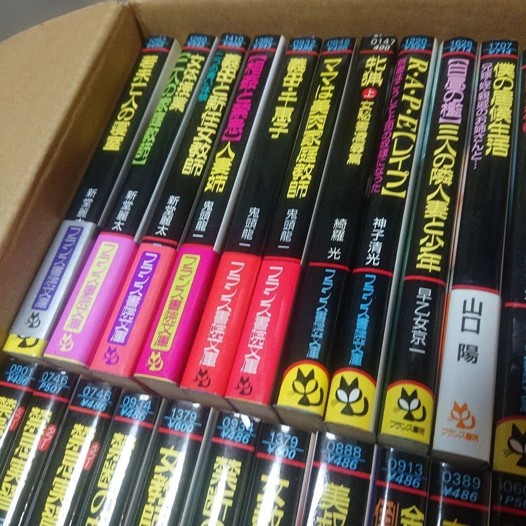 フランス書院文庫　60冊セット　まとめ売り