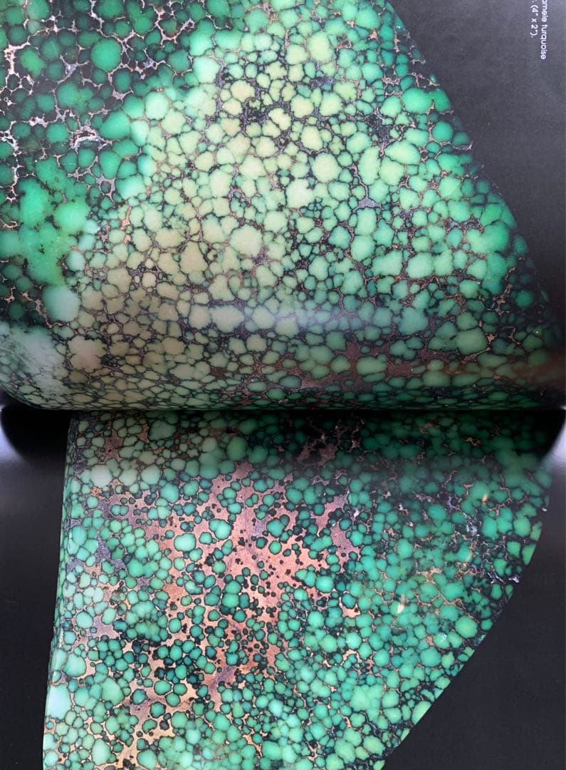 Jewel of the Southwest Turquoise ターコイズ 本 - メルカリ