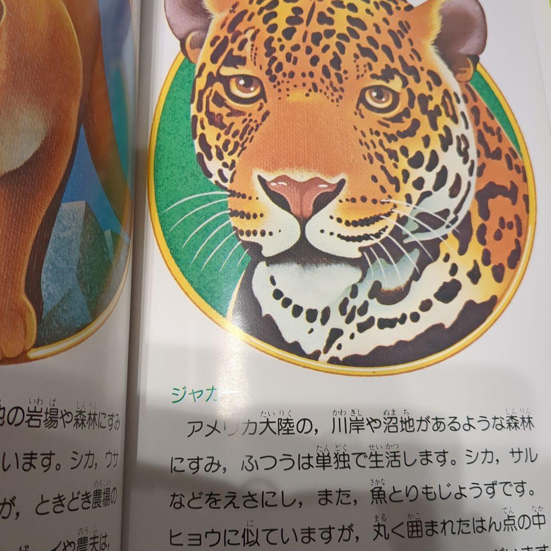 絵本49冊CD12枚☆みんなのおんがくかい☆いずみ書房☆幼児教育☆