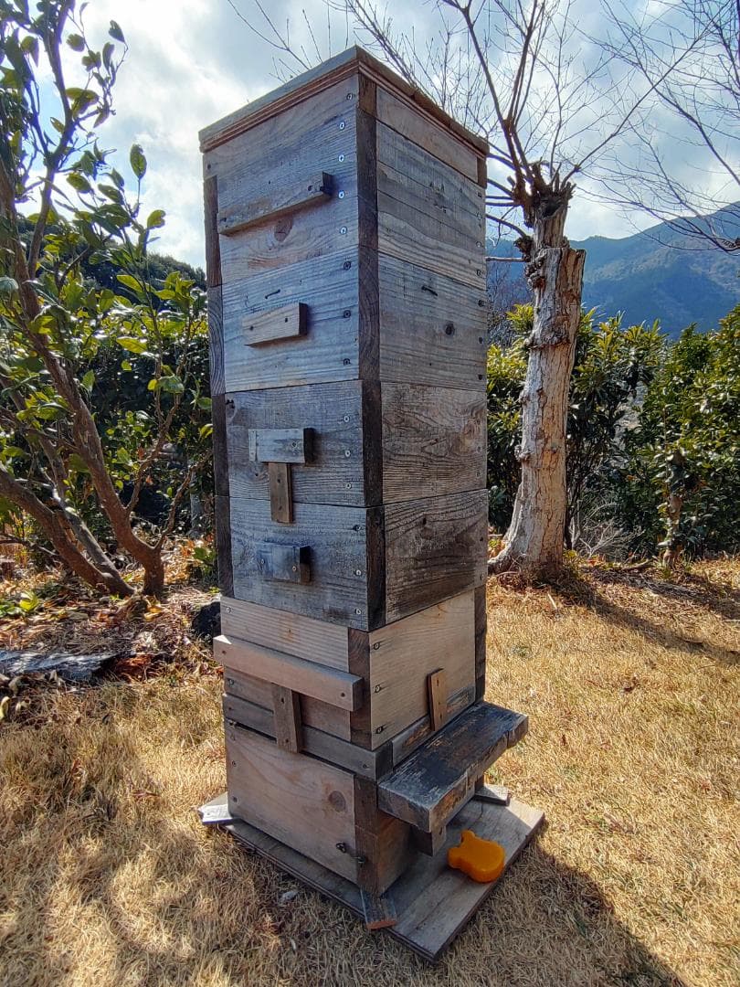 k*o様 日本蜜蜂重箱式巣箱（自然入居＆営巣実績有・中古）5段・すのこ