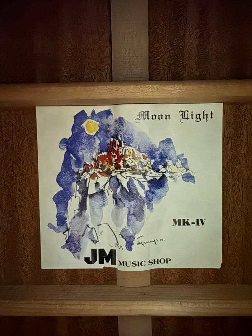 Moon Light MK-IV ナカイ楽器 Martin D-18モデル