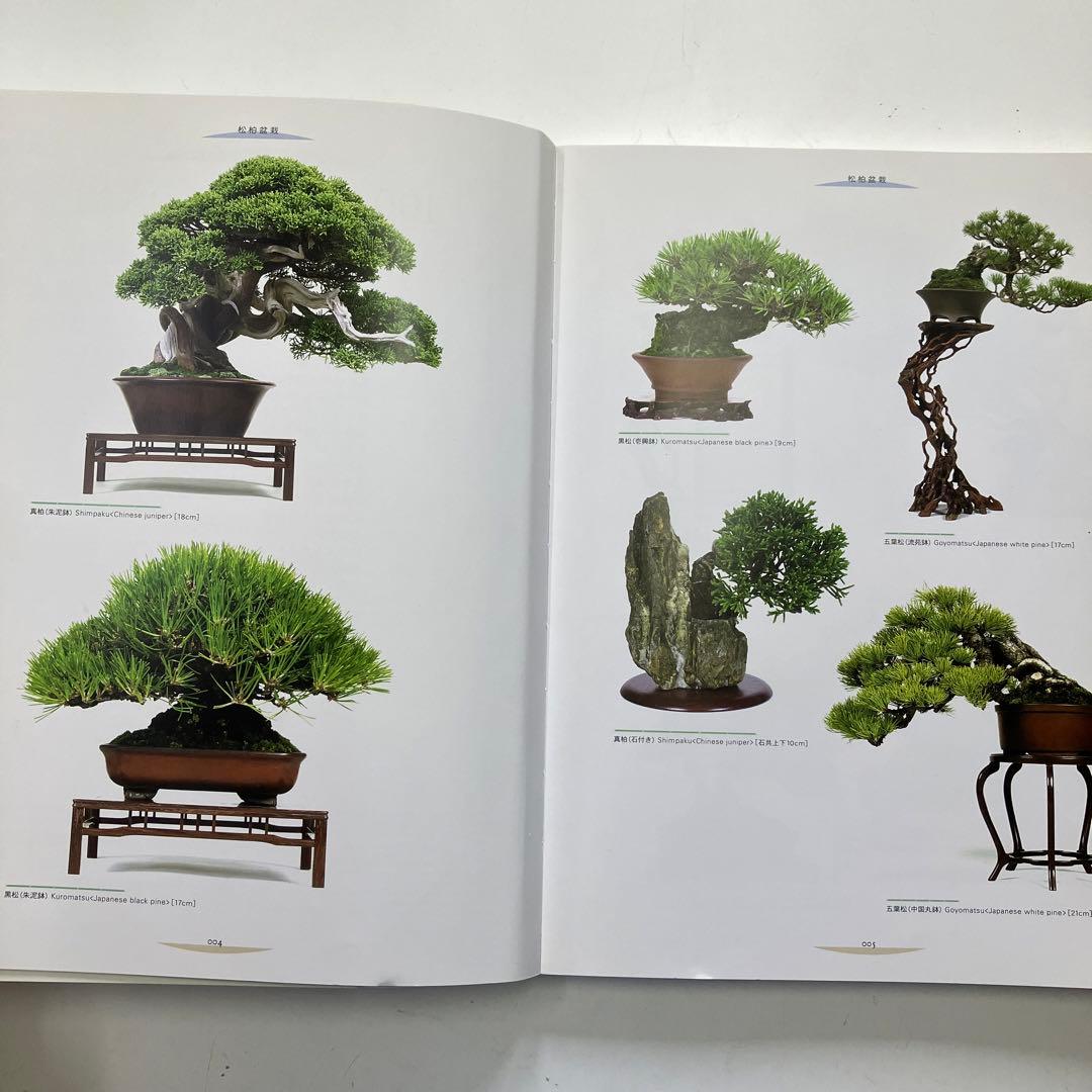 盆栽宇宙 THE MODERN BONSAI - メルカリ