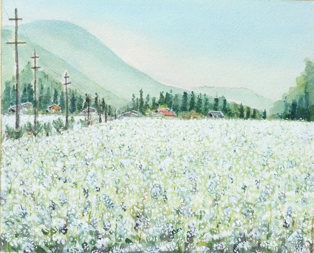 長野県 《 木曽蕎麦畑 》　 　水彩画　風景画　原画 プレゼントあり