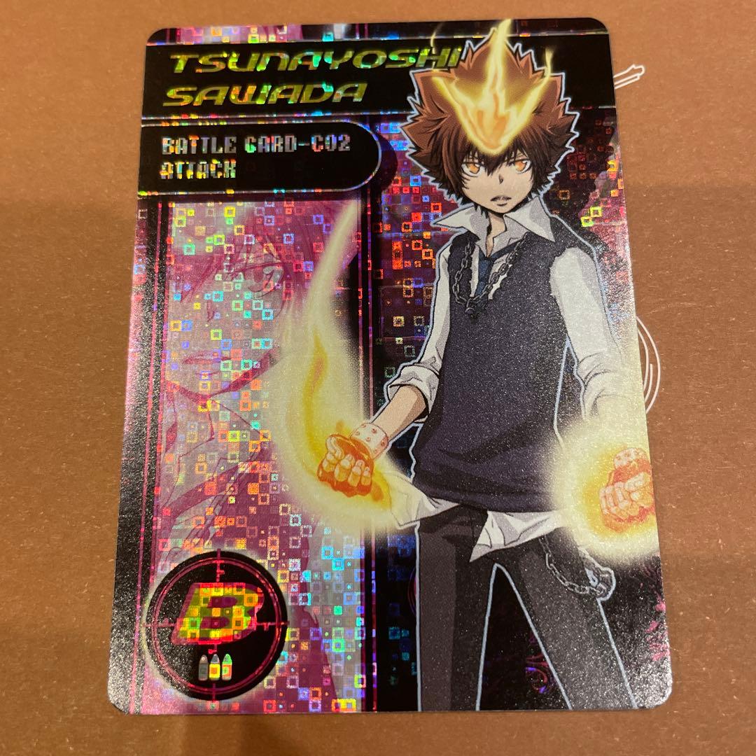 家庭教師ヒットマンREBORN サザンクロスバトル 沢田綱吉 - メルカリ