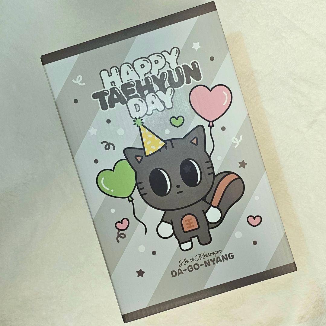 TXT テヒョン》ダゴニャン センイル ぬいぐるみ ☆外箱に初期難あり