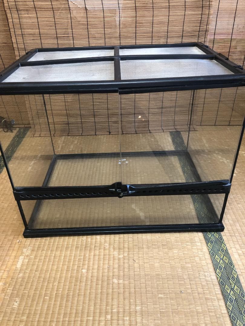 エキゾテラ GEX EXOTERRA グラステラリウム 6045 PT2610 グラステラリウム6045 エキゾテラ GEX ガラス飼育ケージ 販売 通販