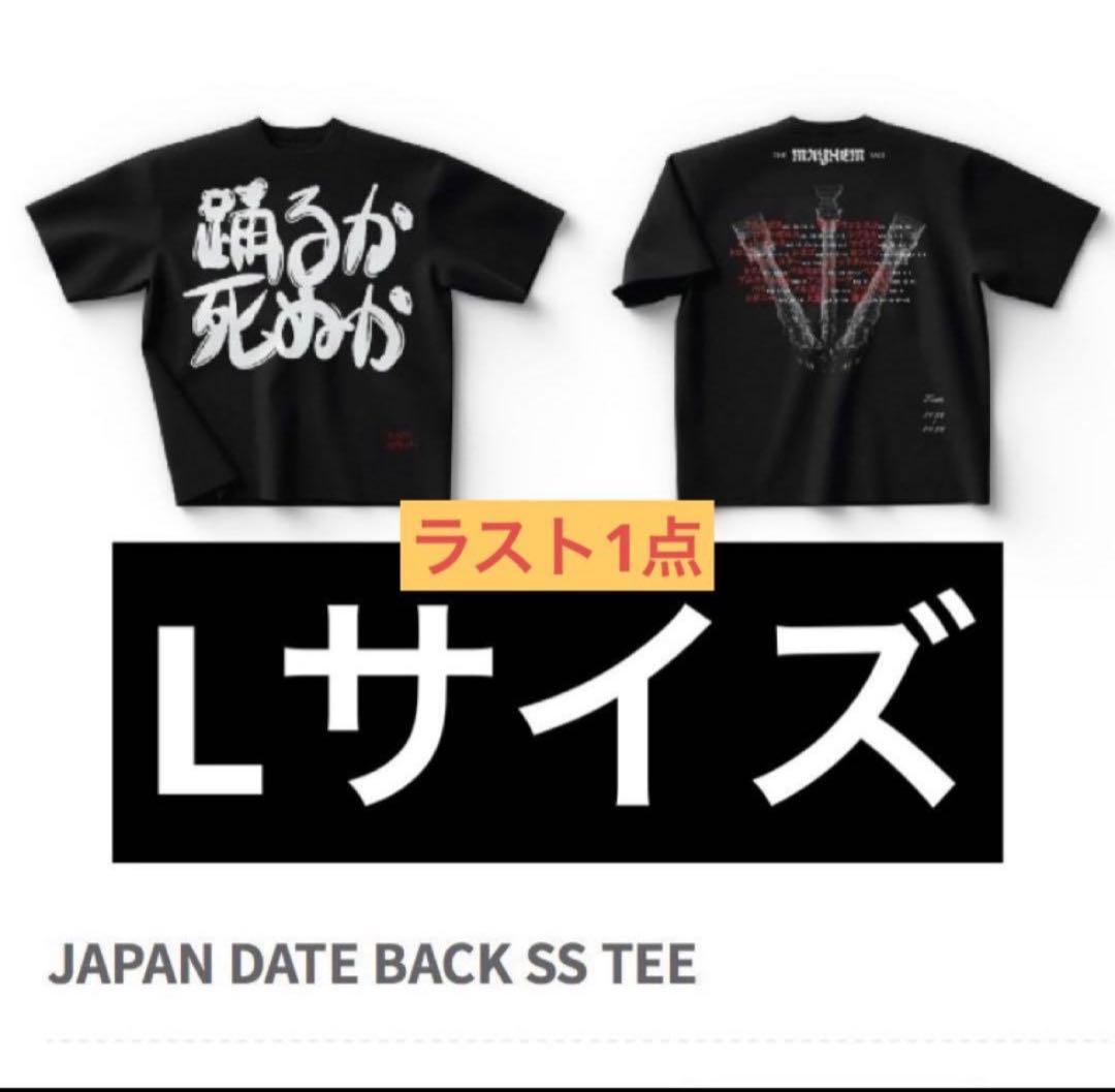 ガガ　L 2026 Kawasaki KLX®300 KSA46507 | K's Motorsports