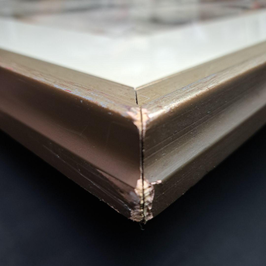 サルバドール ダリ リトグラフ 冬のセントラルパーク - メルカリ