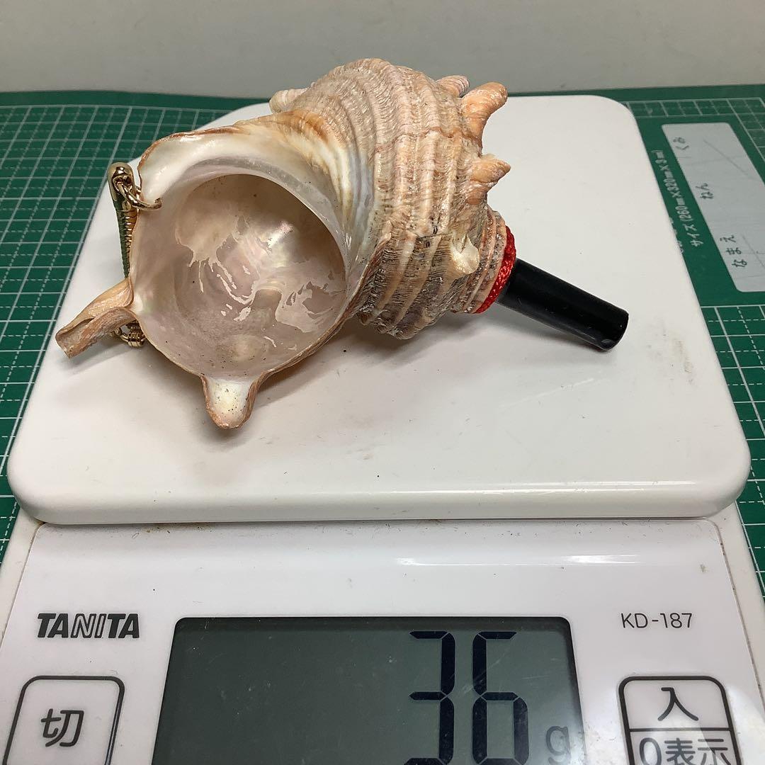 サザエ・巻貝・貝笛・山伏・金峯山・戦国武将・安全登山・熊よけ・熊