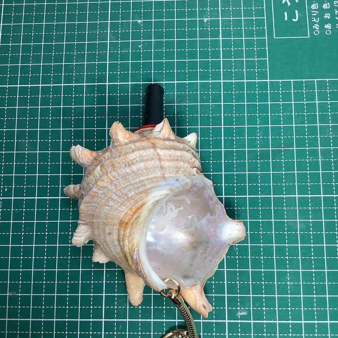 サザエ・巻貝・貝笛・山伏・金峯山・戦国武将・安全登山・熊よけ・熊