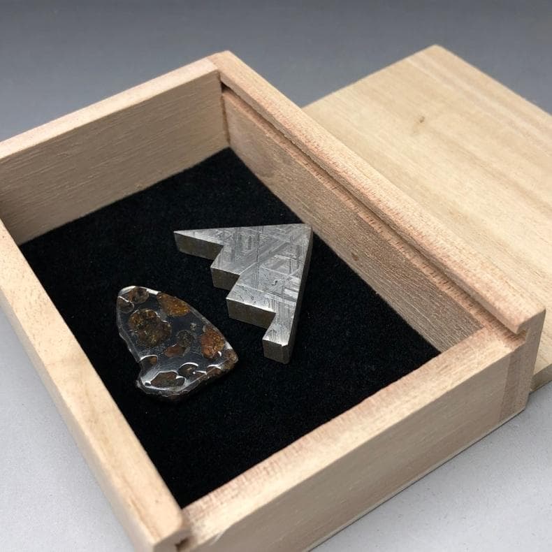 パラサイト隕石 メテオライト 隕石 石鉄隕石 2点 重さ28g 共箱