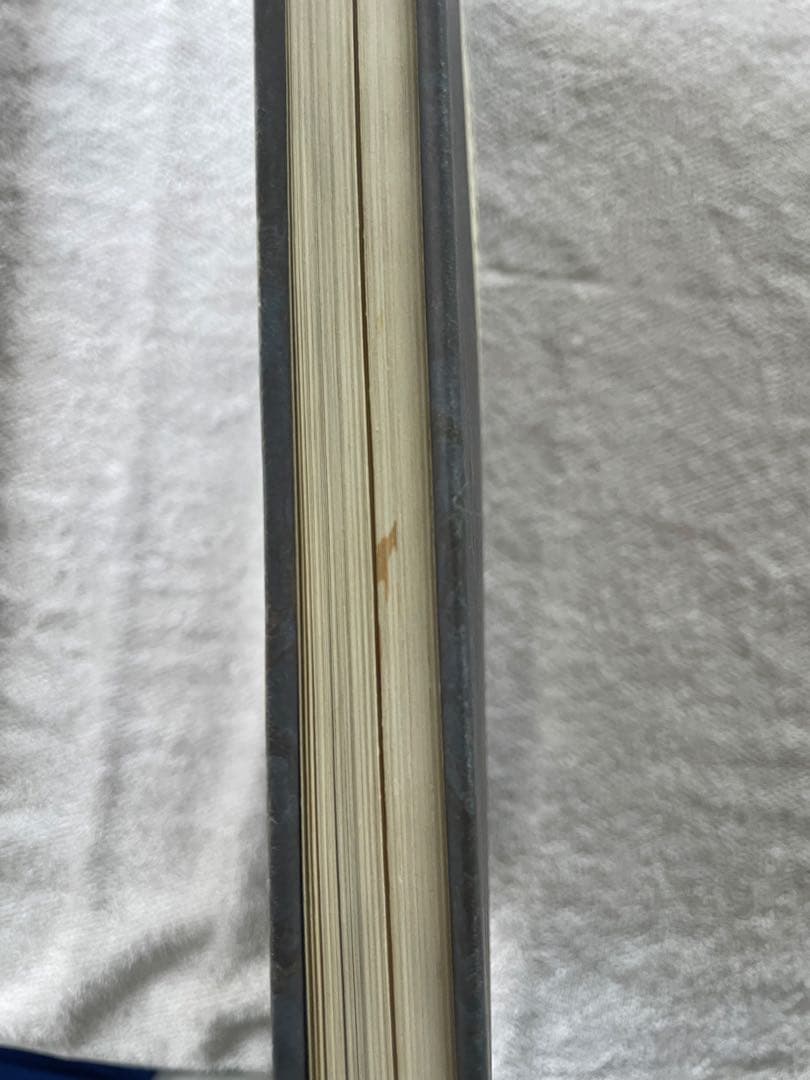 3代目彫よし 百鬼図 値下げ可能 - メルカリ