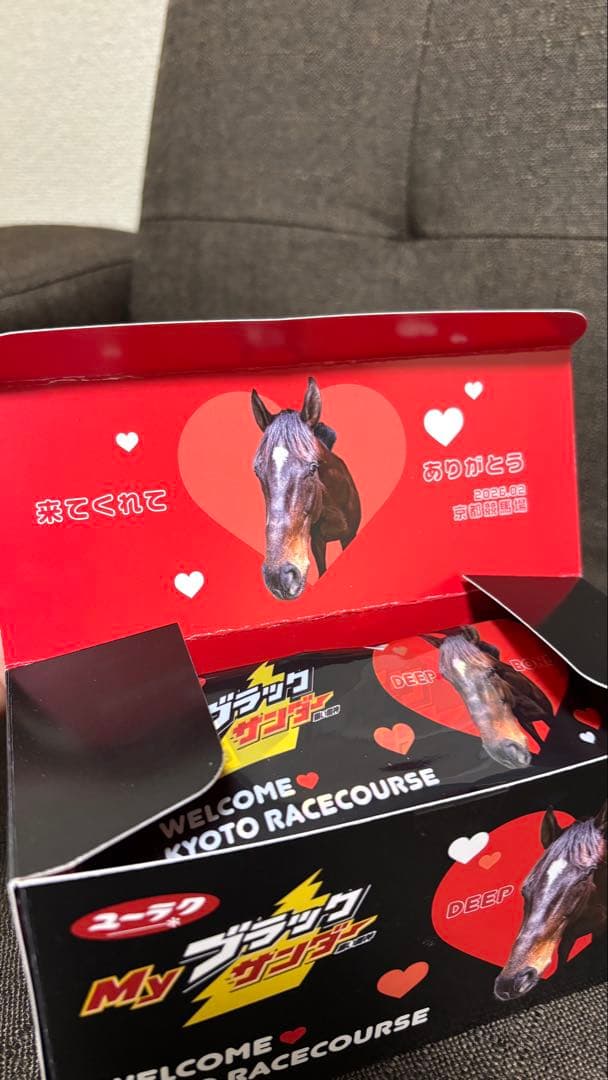 JRA 京都競馬場 Welcomeチャンス ディープボンドブラックサンダー