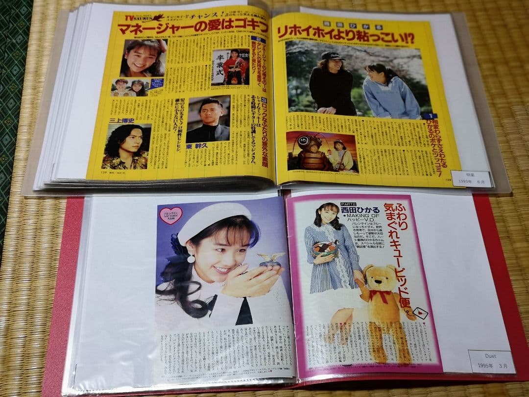 西田ひかる(1冊200円計算)162冊分420ページ切り抜きしファイリング済み