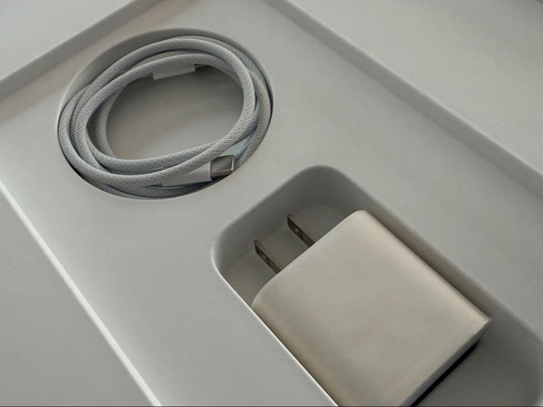 iPad pro 12.9inch 第5世代 wi-fiモデル