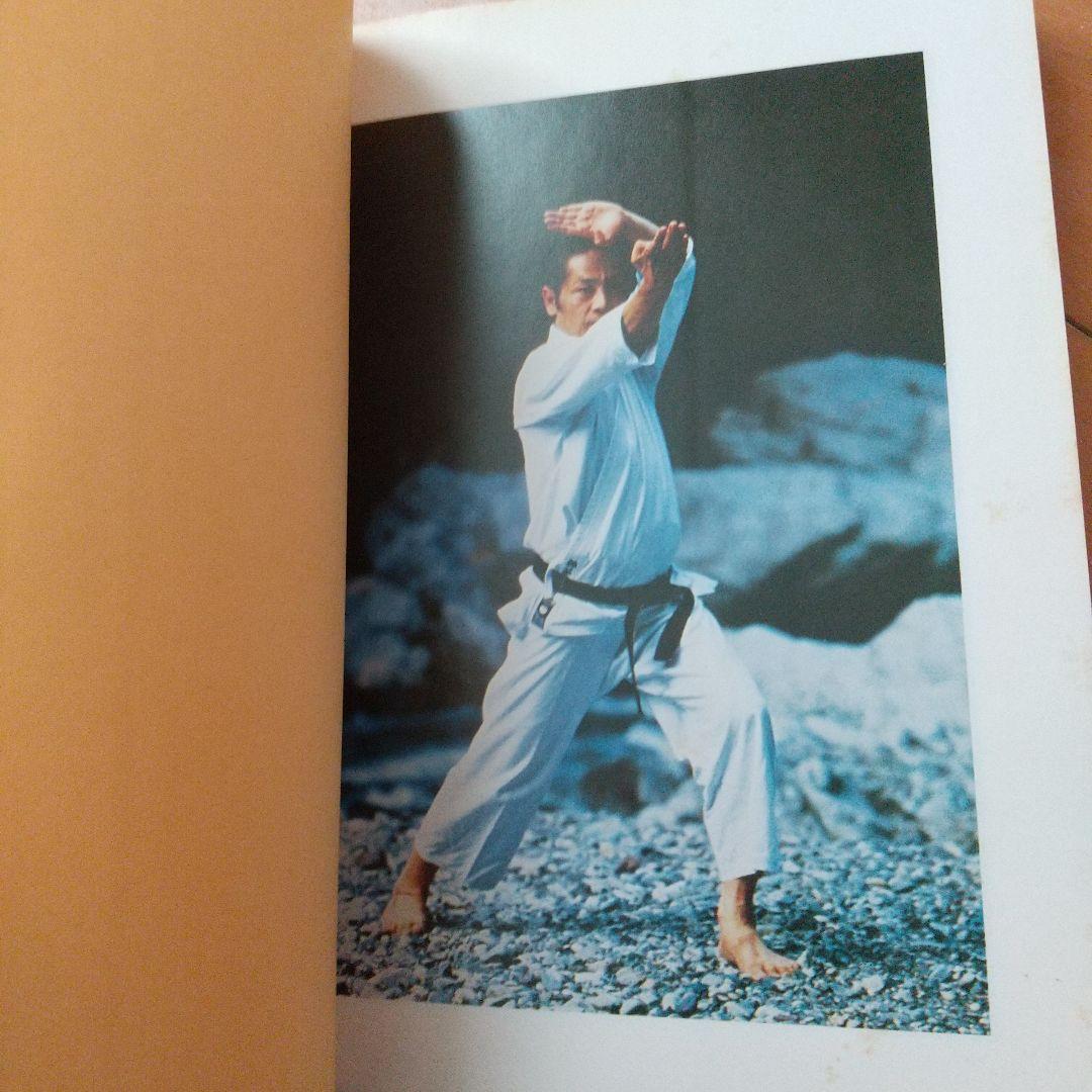 浅井哲彦 実技 空手道 選定形 空手 松濤館 拳法 武術 護身術 - メルカリ