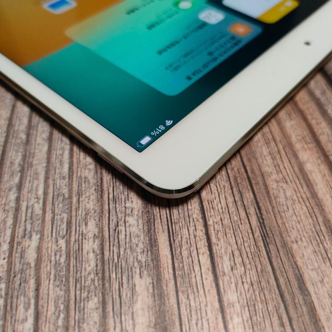 iPad Pro 10.5インチ 256GB シルバー 美品 - メルカリ