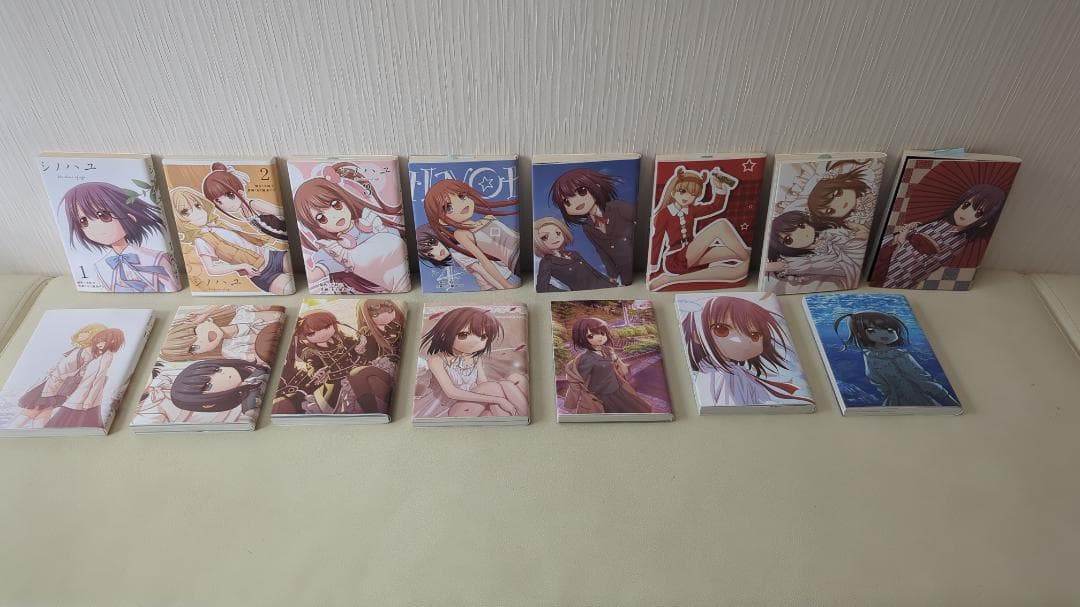 咲-Saki- 関連書籍 + メロンブックス特典カバーなど 多数