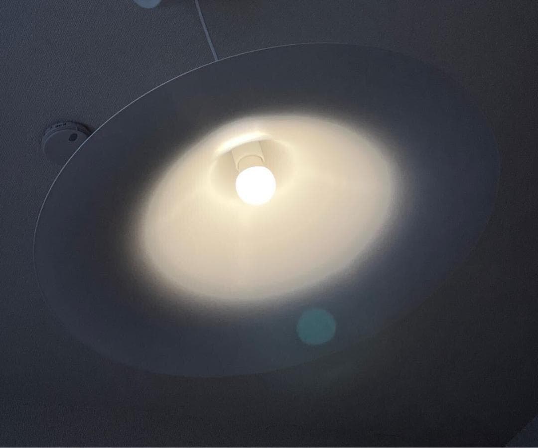 ☆超レア☆ Fog & Morup Semi 47cm径 フォグ&モーラップ