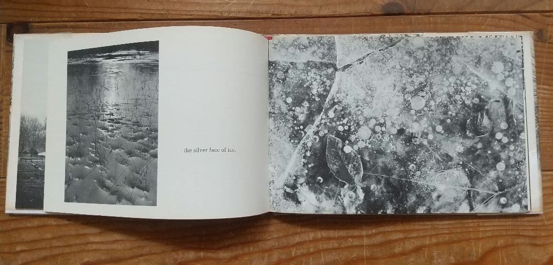 Hellen Buttfield【The Park】写真集★tamiserタミゼ