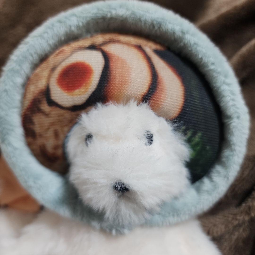 犬記録 コンプリートセット - メルカリ