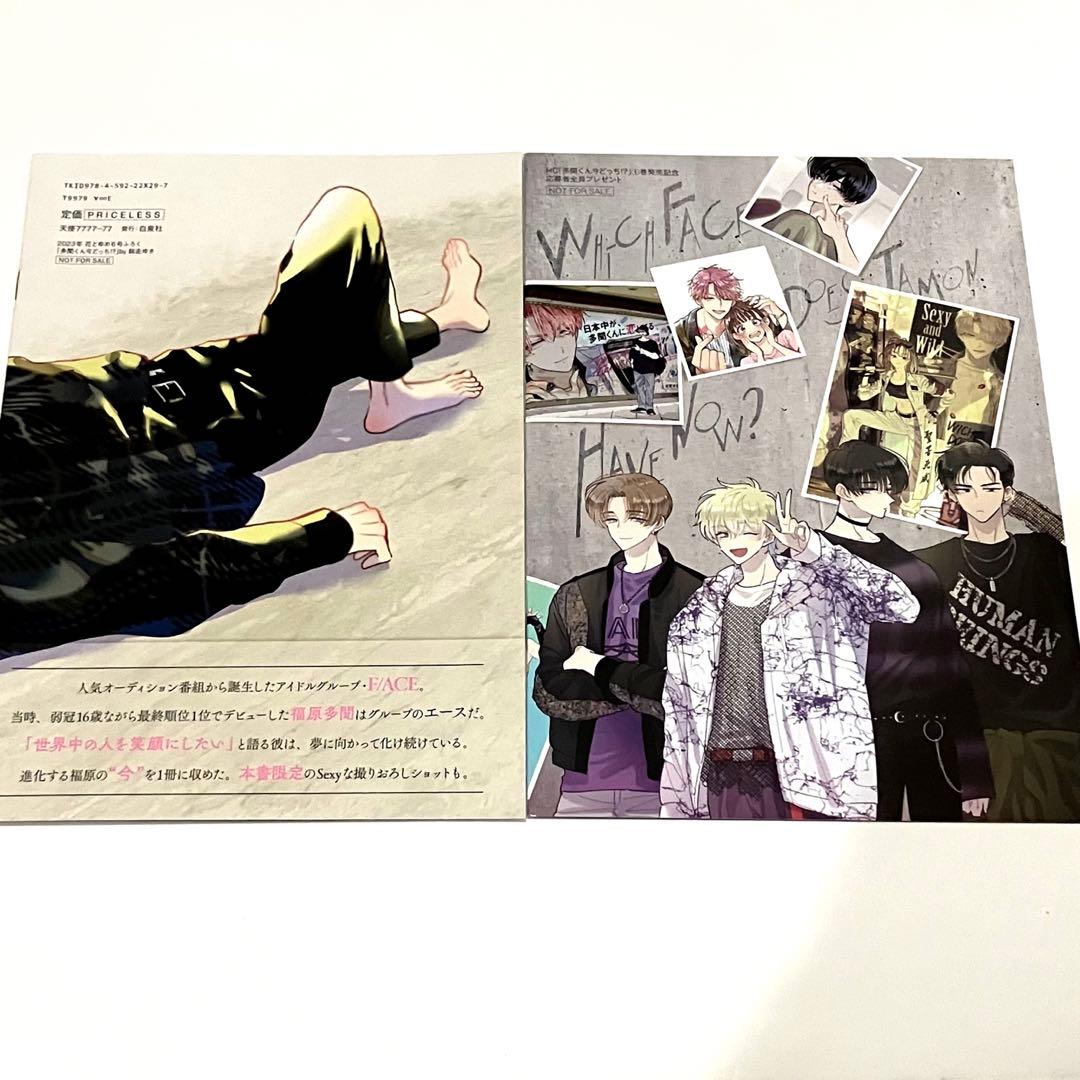 多聞くん今どっち イラスト集 写真集 多聞教フライヤー 非売品 花と