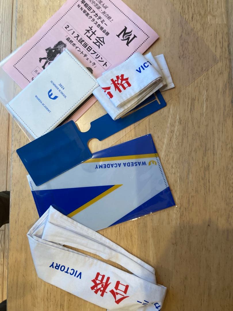 再再再値下げ！早稲アカ NN早実 2025年1月終了組 夏期講習から直前まで