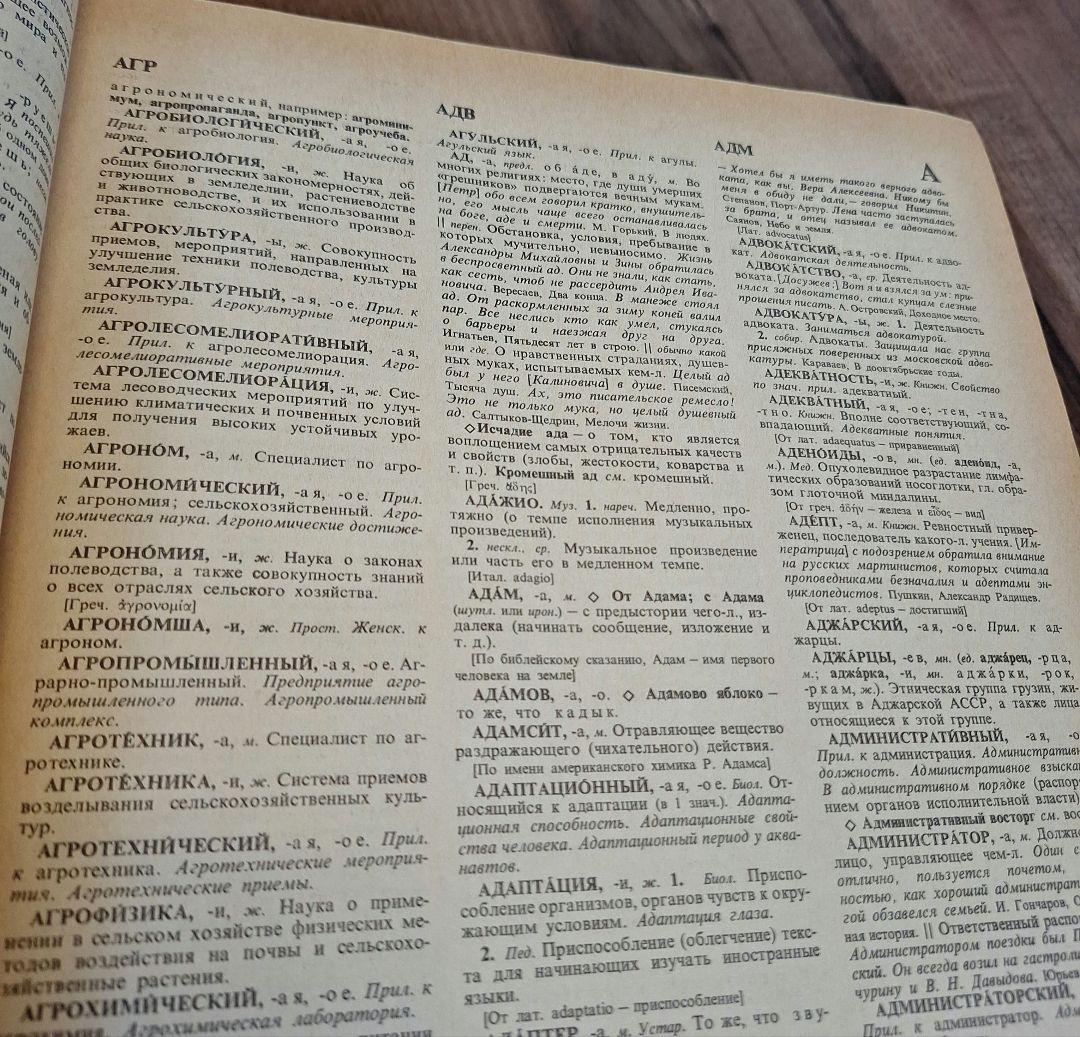 4巻本露露辞典(1981~1984)