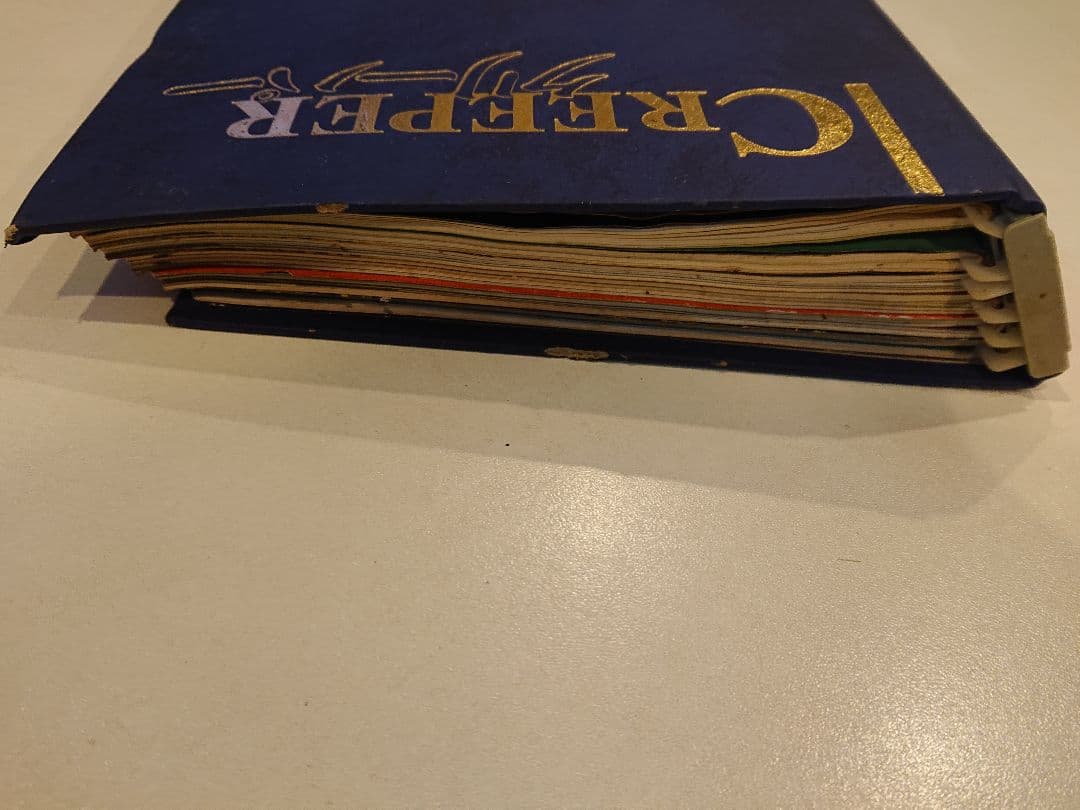 クリーパー 6冊 爬虫・両生類情報誌 創刊3号No.6・8・11・20・22