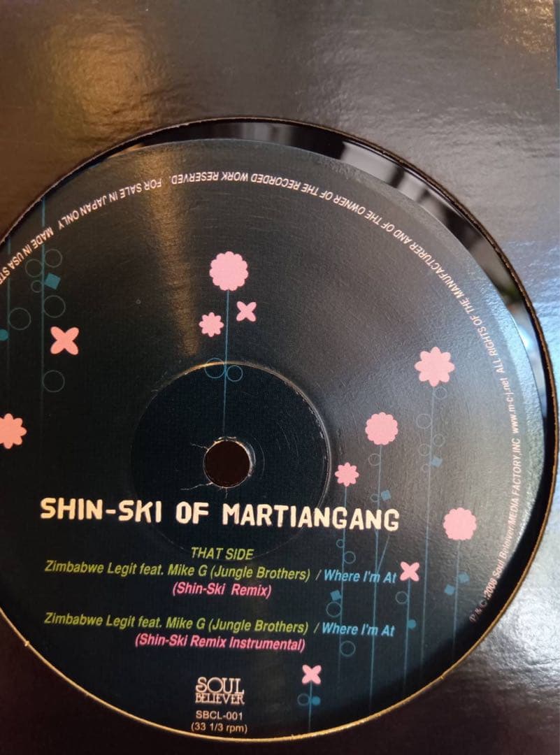 SHIN-SKI OF MARTIANGANG Re-Shinstru-tion