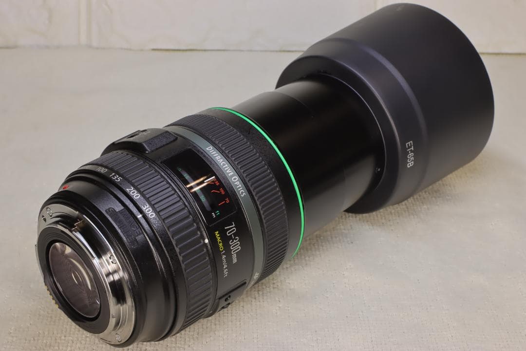 EF70-300mm F4.5-5.6 DO IS USM【高解像感・作例あり】