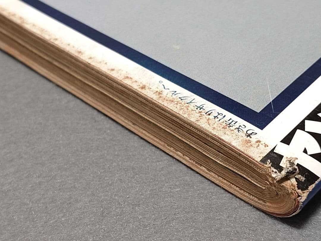 ヤングマガジン1994年15号『サバンナのハイエナ』新連載巻頭カラー