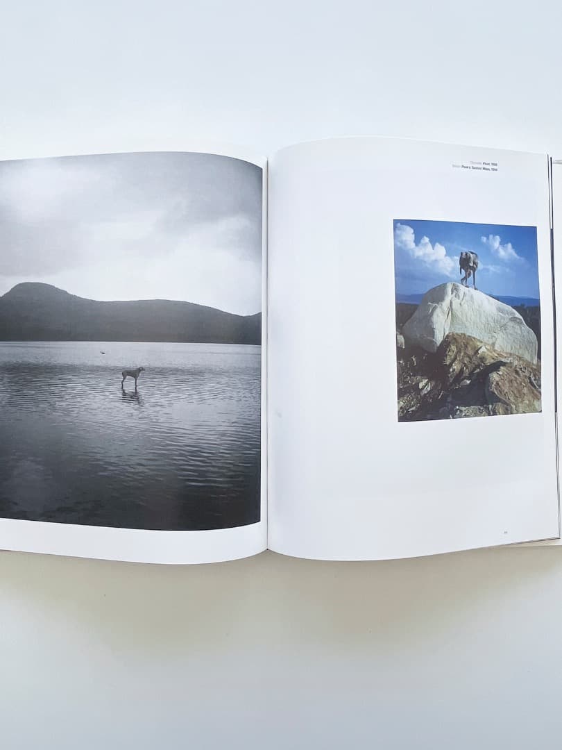 アート・デザイン・音楽 William Wegman \"Polaroids\"