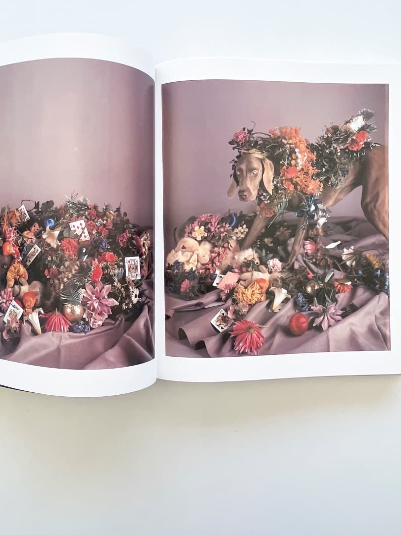 アート・デザイン・音楽 William Wegman \"Polaroids\"