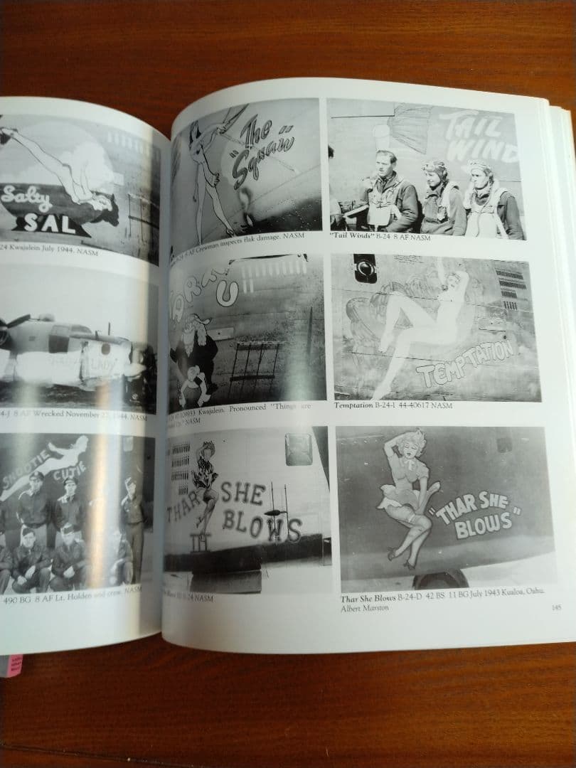 Nose Art Hard to Get! 他 ノーズアート - メルカリ