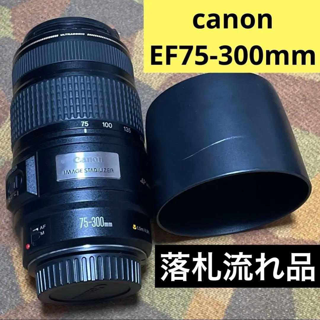 F*k様 キンキム様以外も購入できます canon ef75-300mm　レンズ Amazon | Canon EF 75-300mm F4-5.6(3)USM | カメラ用交換レンズ 通販