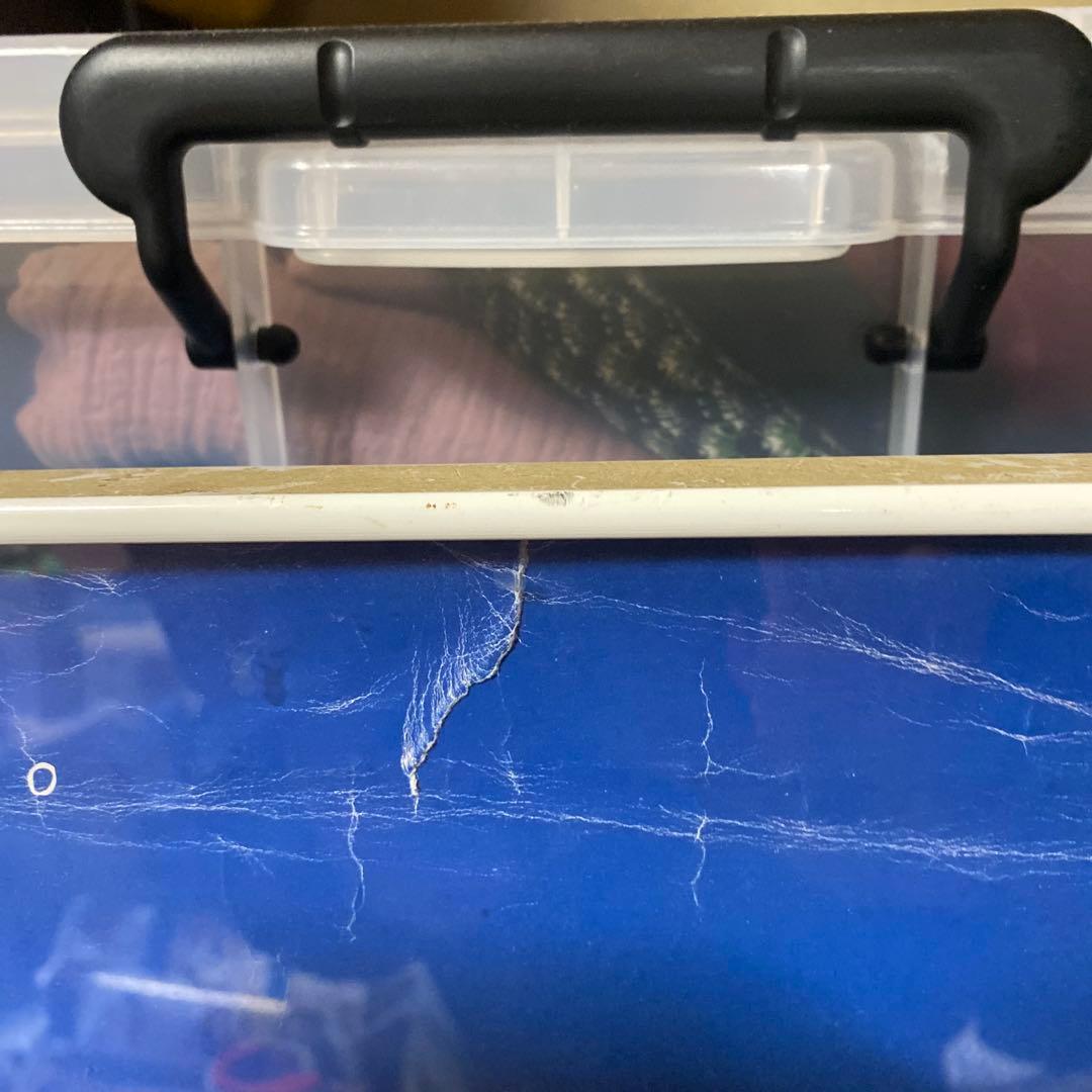 わたせせいそう