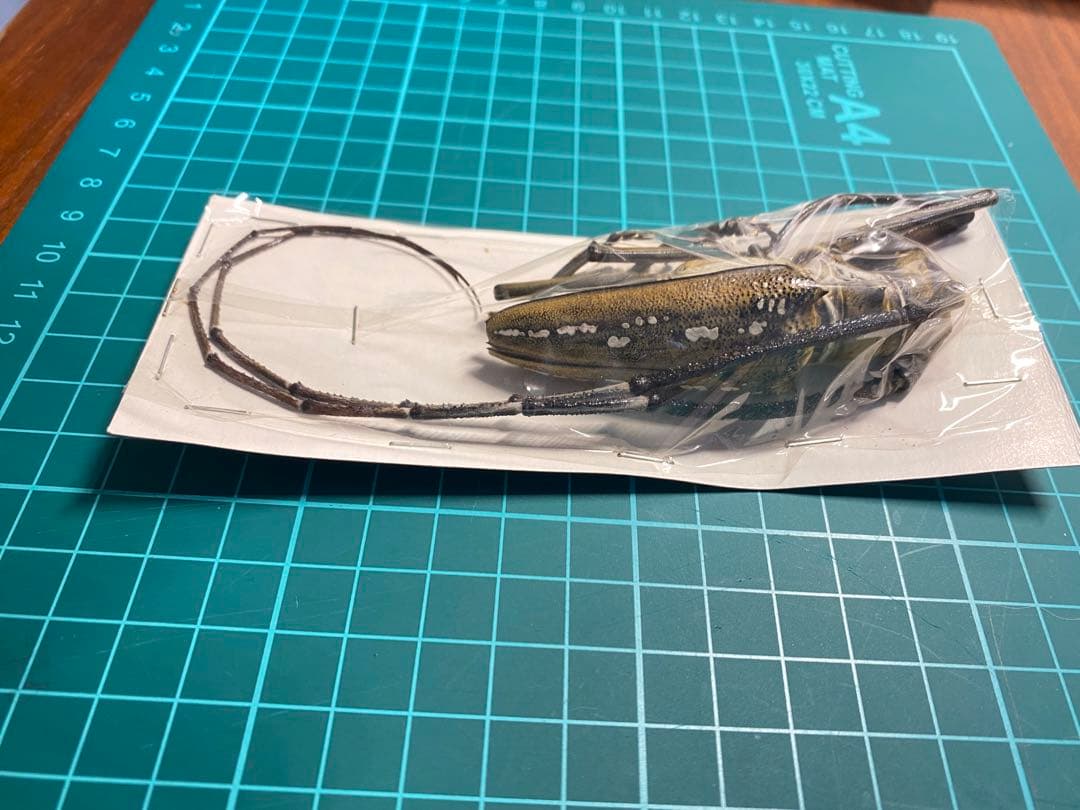 44特大・希少 ウォーレスシロスジカミキリ80mmup - メルカリ