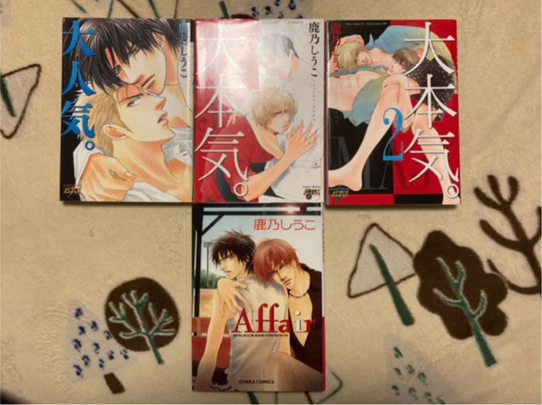 BL漫画 29冊 まとめ売り 朝田ねむい 蓮山田れん 石田育絵