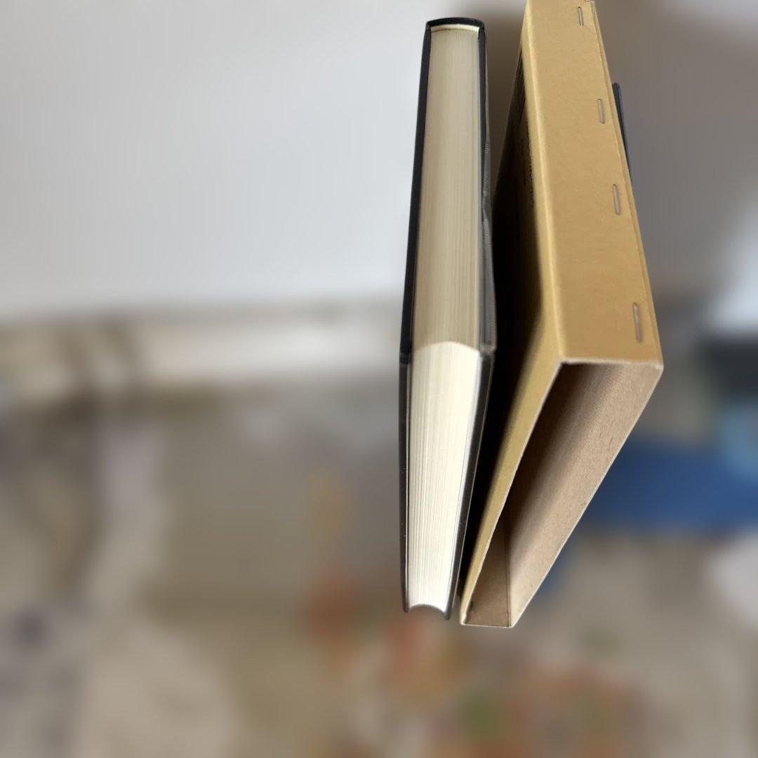 『中国語を第一言語とする日本語学習者の同形語の認知処理』(小森和子）「専門書」