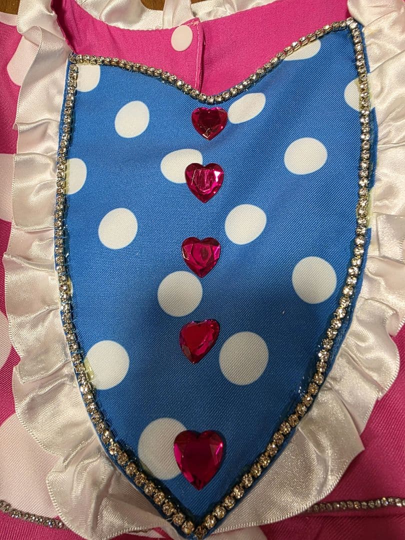 ワケアリ 140センチ ミニー コスプレ パルパルーザ ファンダーランド