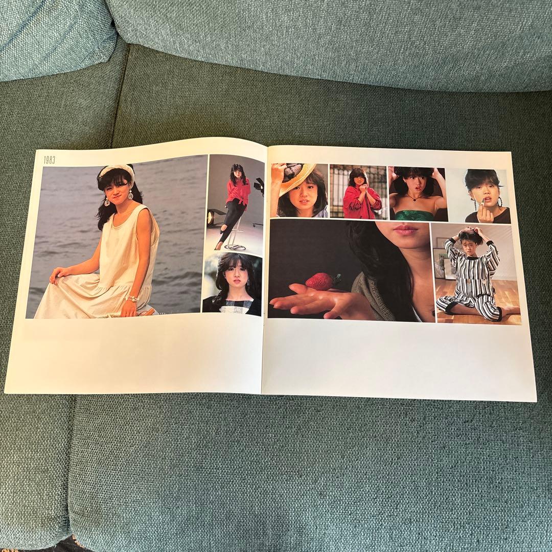 中森明菜 映像・写真展 「AKINA VISUAL FAIR」パンフレット - メルカリ