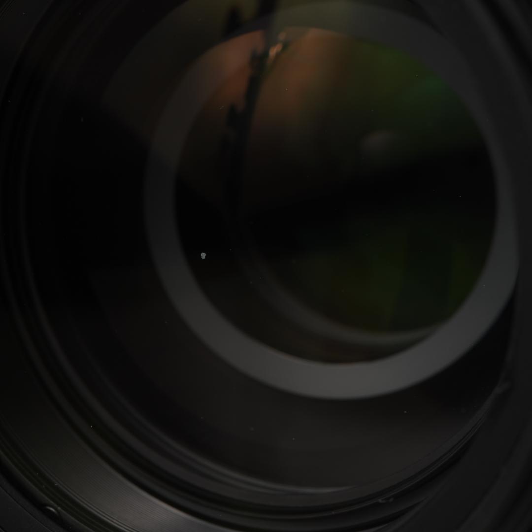 レンズ(ズーム) Nikon AF-S VR ZOOM 70-300mm F4.5-5.6 G