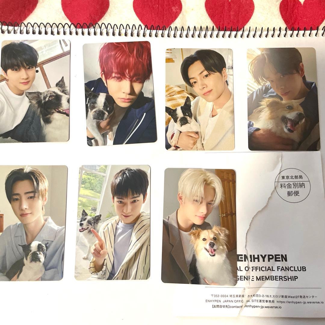 ENHYPEN FC限定 アンケートトレカ特典 エナプ コンプ 2025 - メルカリ