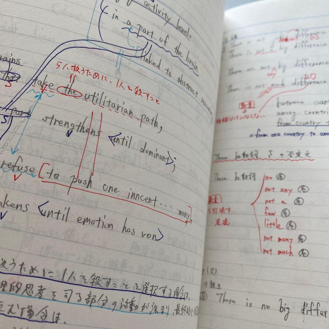 丁寧な板書付き】代ゼミテキスト 国公立大医系英語 通年/夏期 佐々木