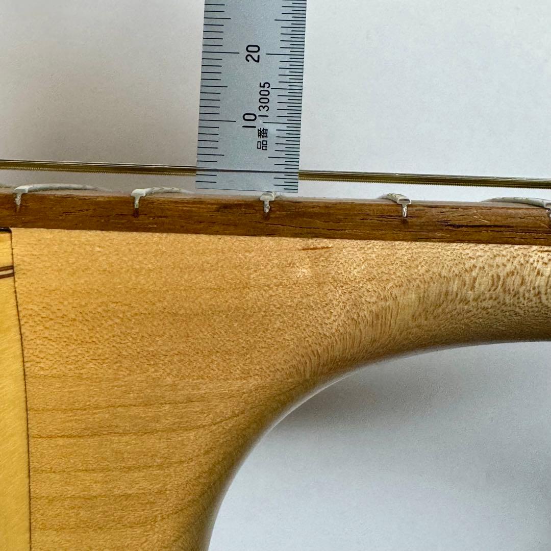 訳あり】 Seagull シーガル AT SG T35 エレアコ アコギ - メルカリ