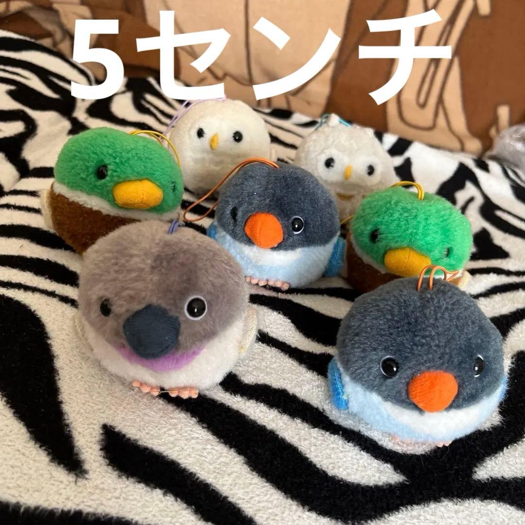 本日限定価格）ことり隊 ぬいぐるみセット 17匹 - メルカリ