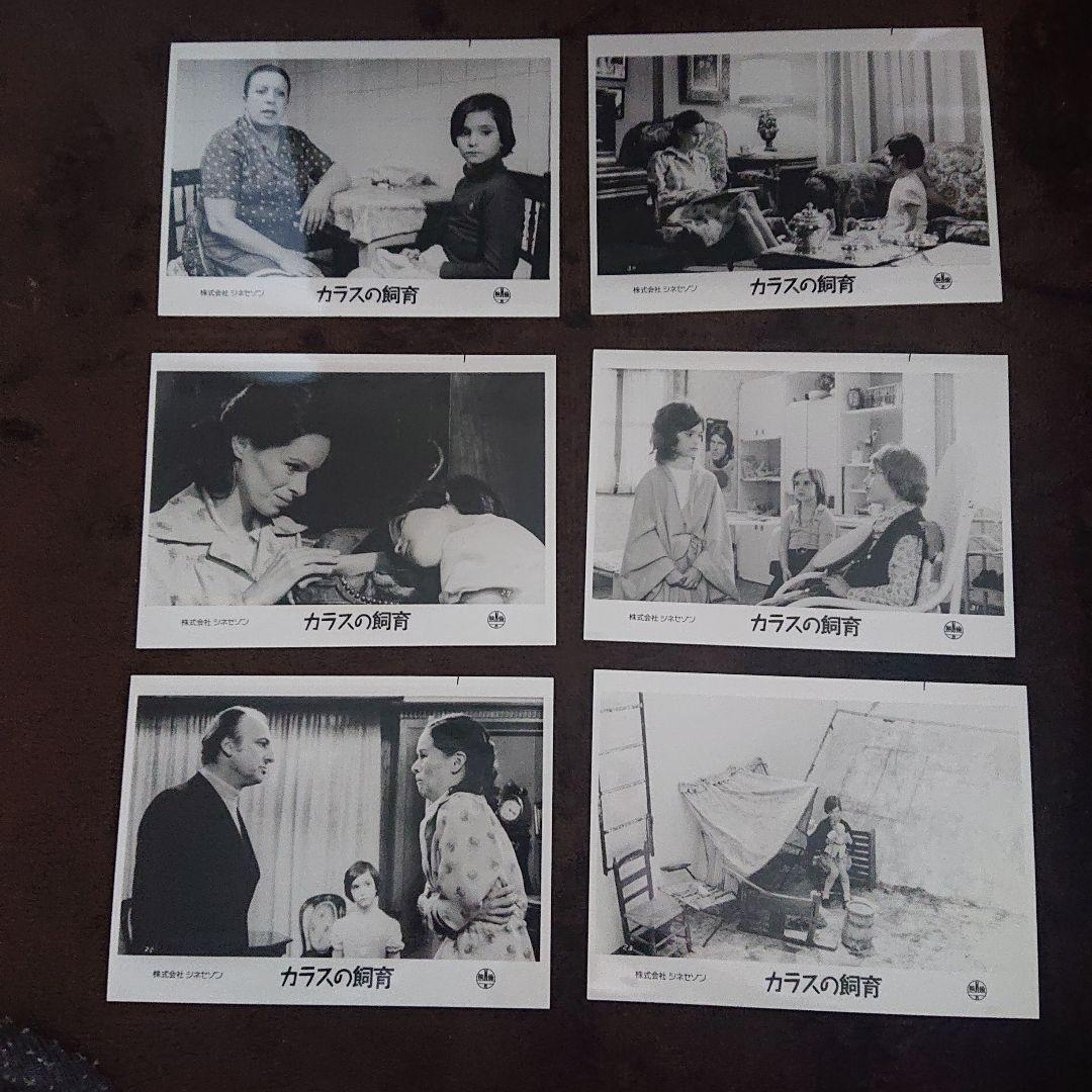 カラスの飼育 アナトレント ロビーカード Yahoo!オークション -「アナ・トレント」(映画、ビデオ) の落札相場