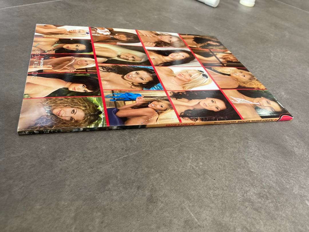 PLAYBOY'S NUDES 特別版　2008年